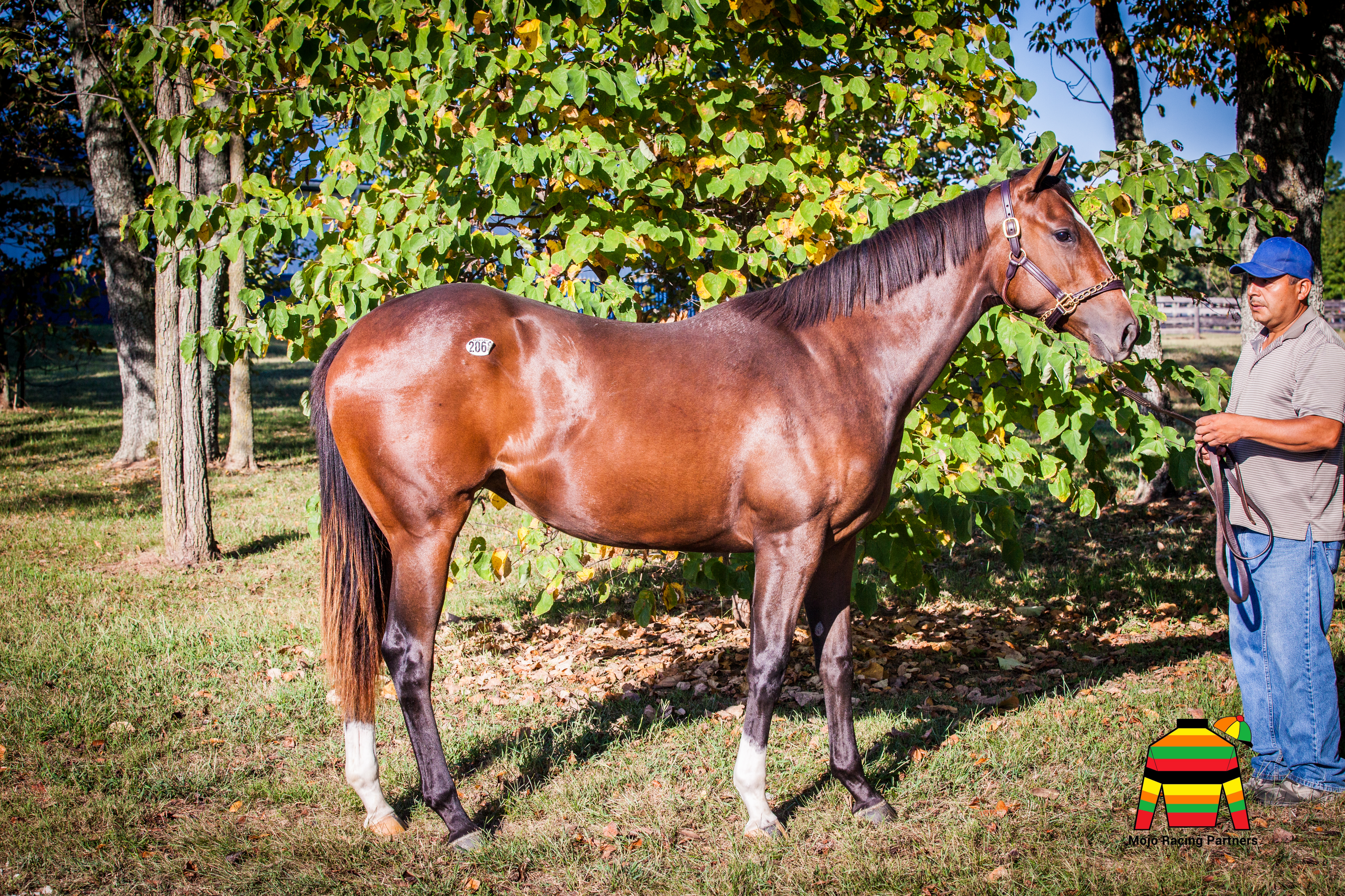 Brickyard Baby Profile